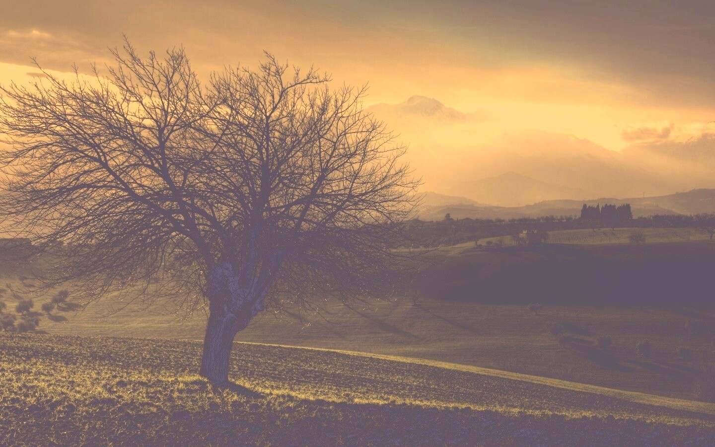 Дерево и горы обои