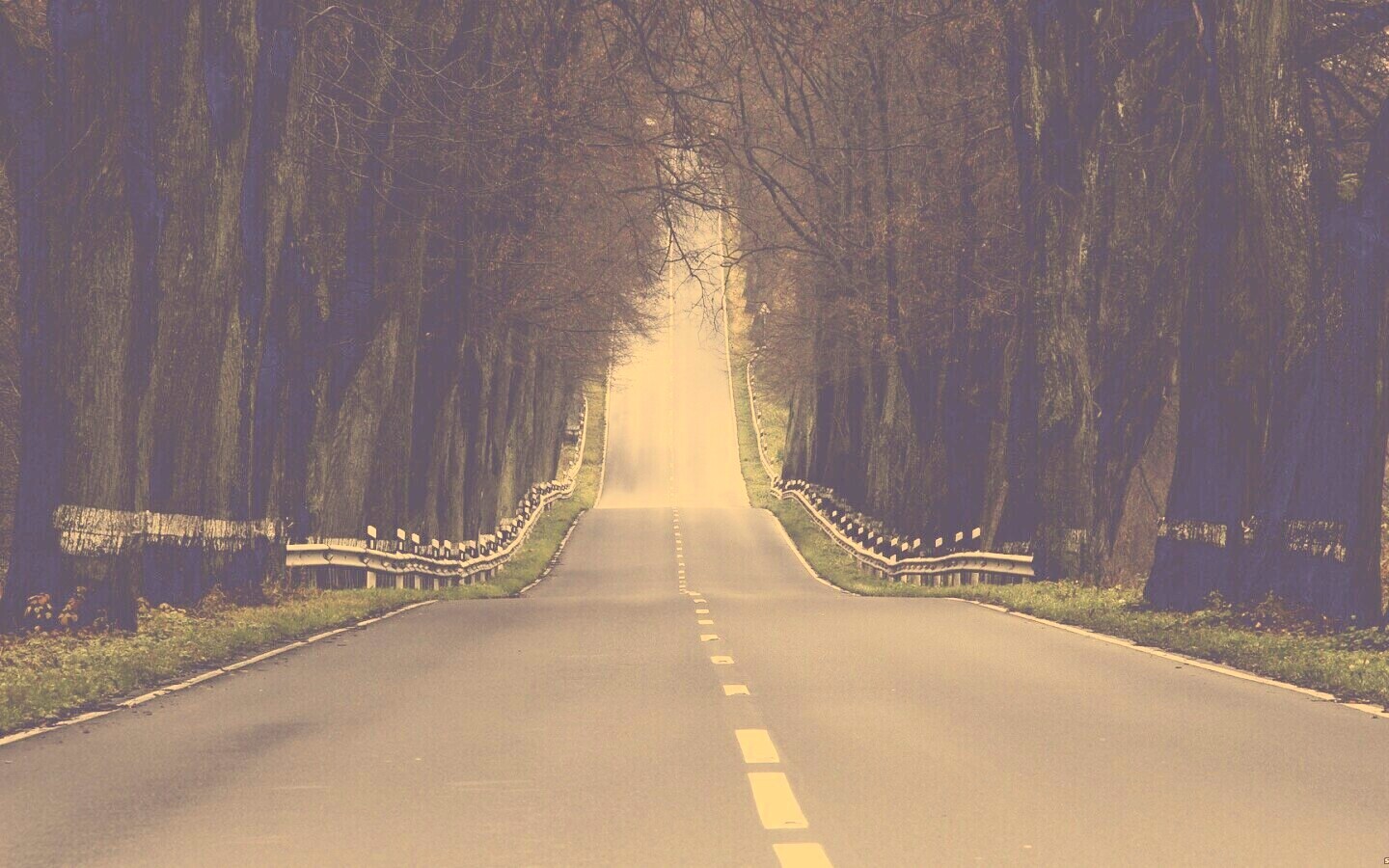 Дорога уходит ввысь обои