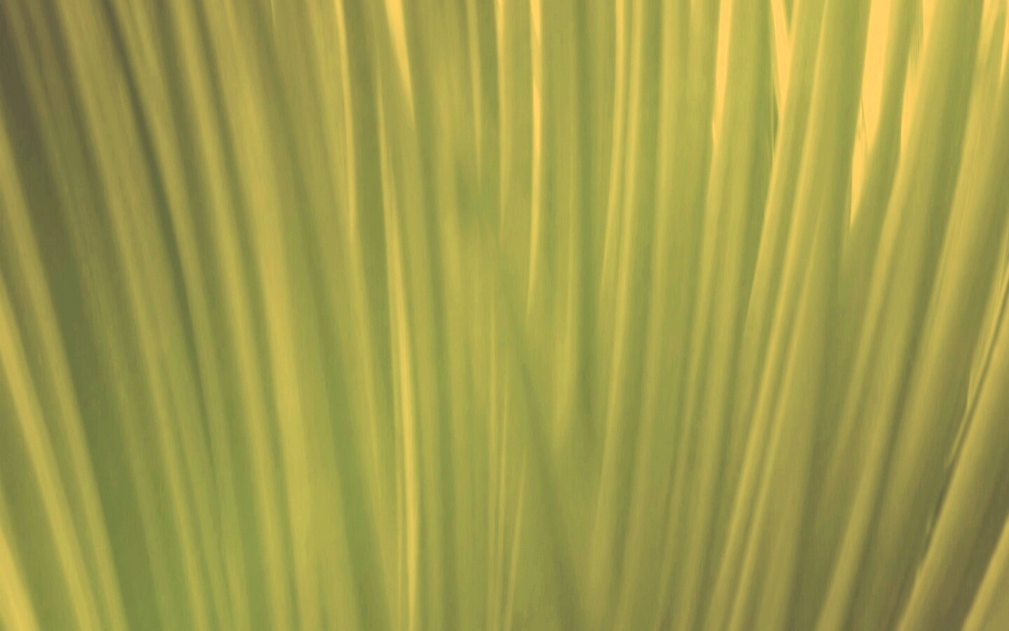 Абстрактная трава обои