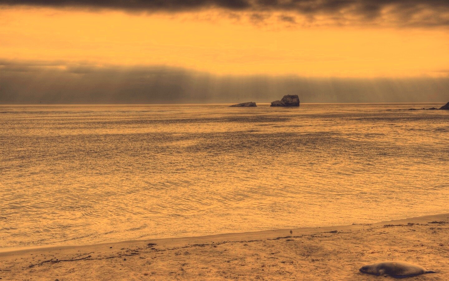 Пляж на фоне светящегосы неба обои