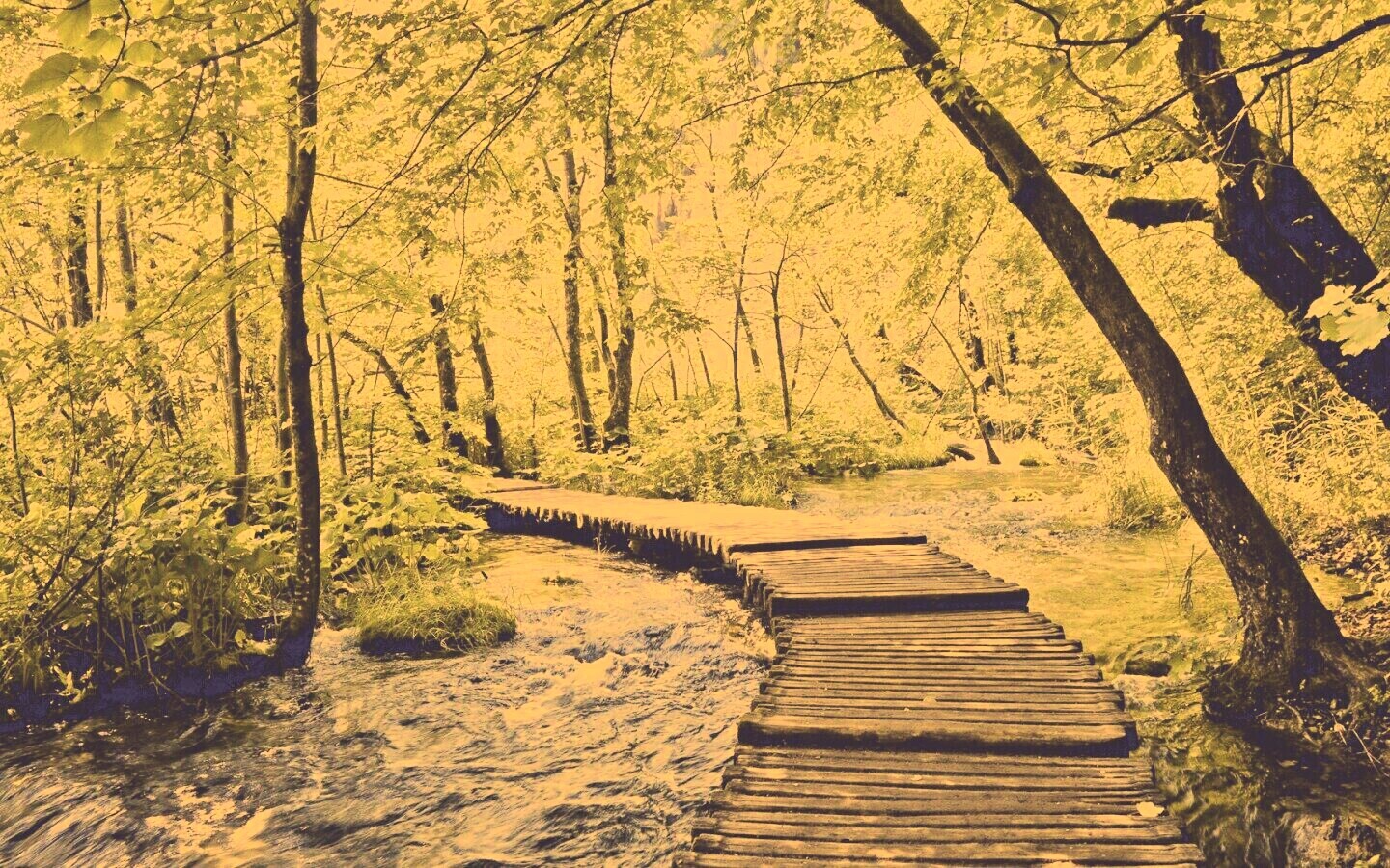 Тропинка над водой обои