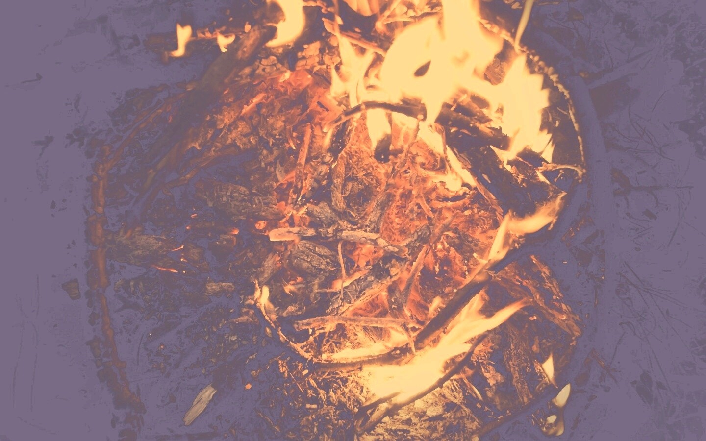 Костёр крупным планом обои