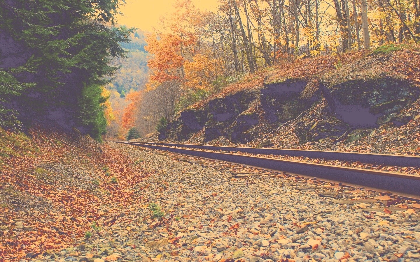 Железная дорога в скалистой местности обои