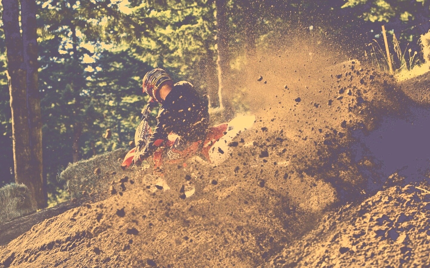 Моторалли обои