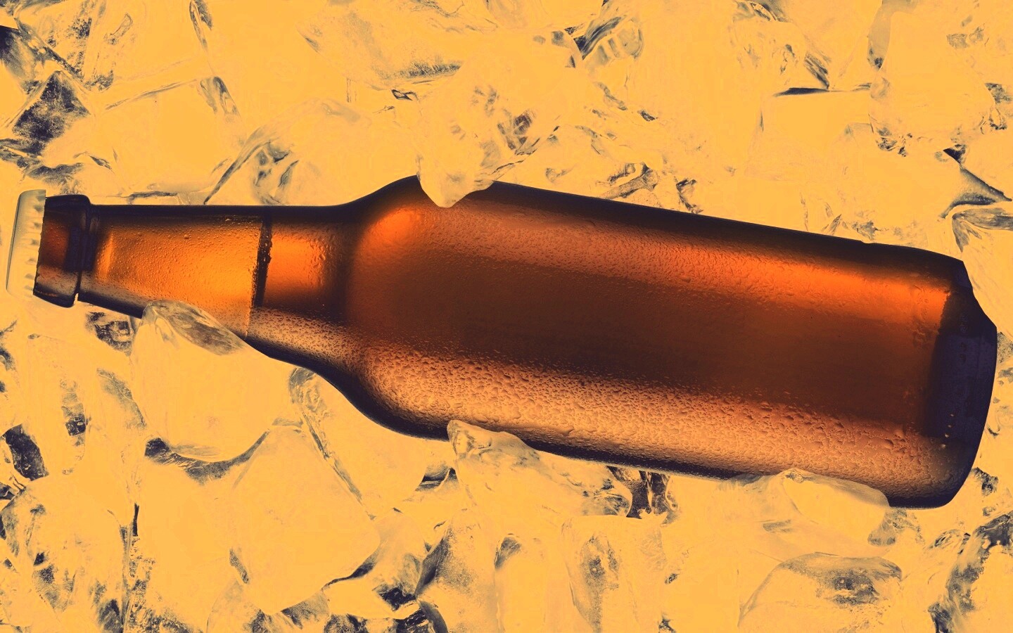 Бутылка пива во льду обои