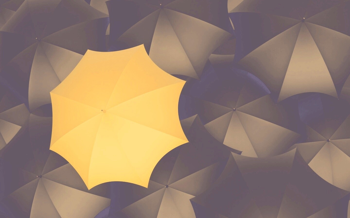 Жёлтый среди чёрных обои