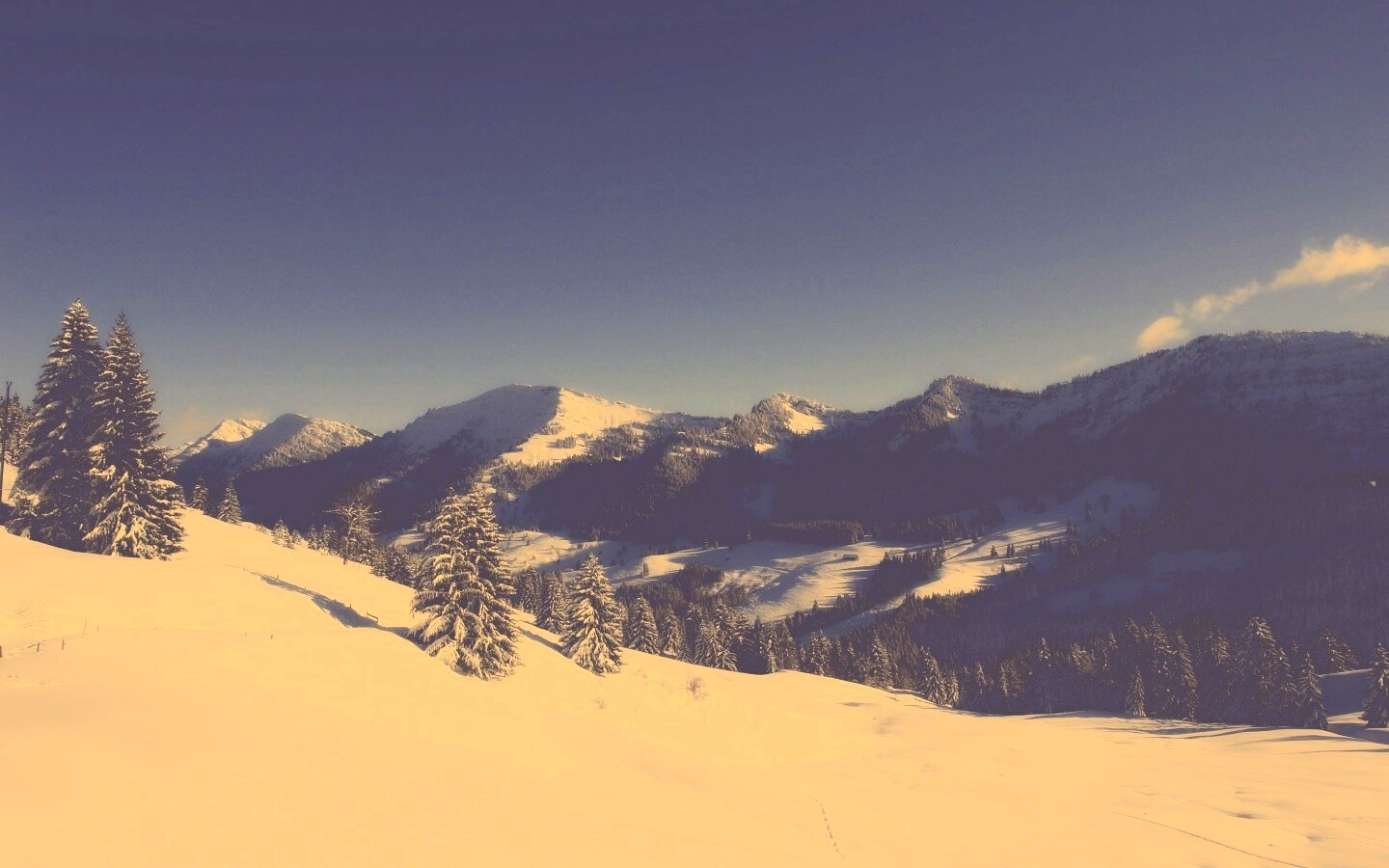 Лес в горах обои