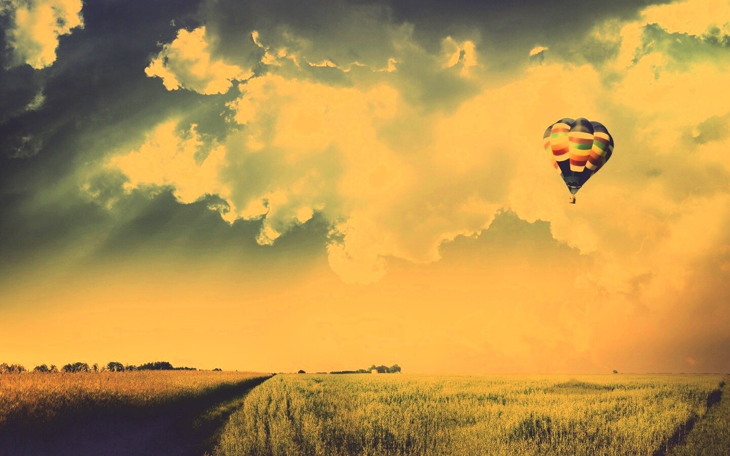 Воздушный шар над зеленым лугом обои