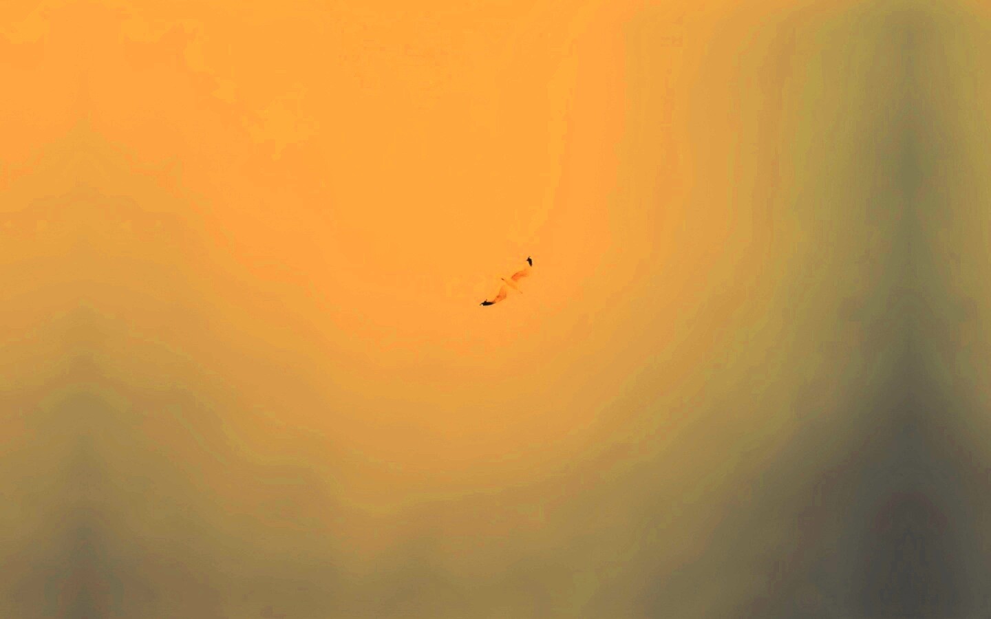 Полет  обои