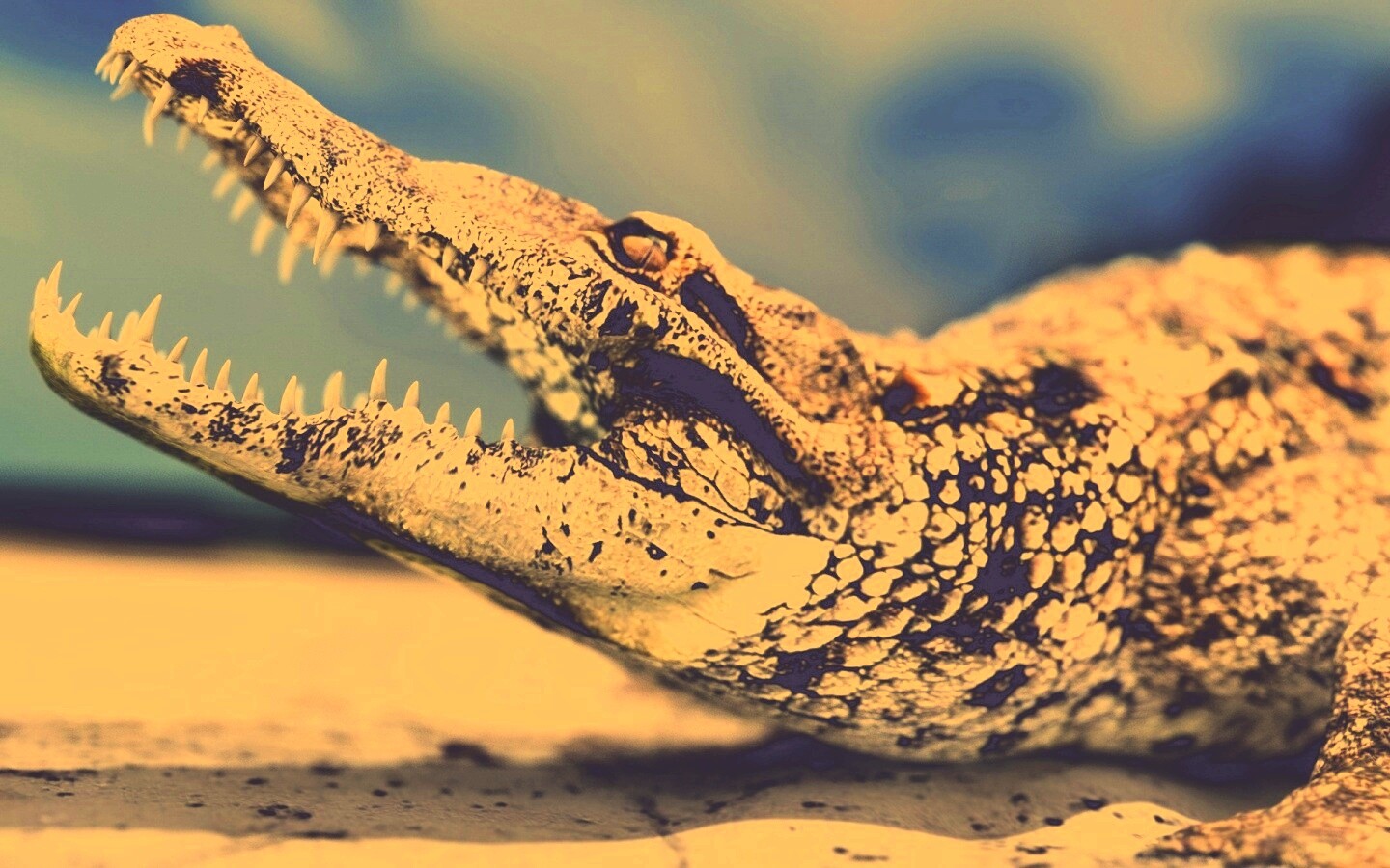Крокодил разинул пасть обои