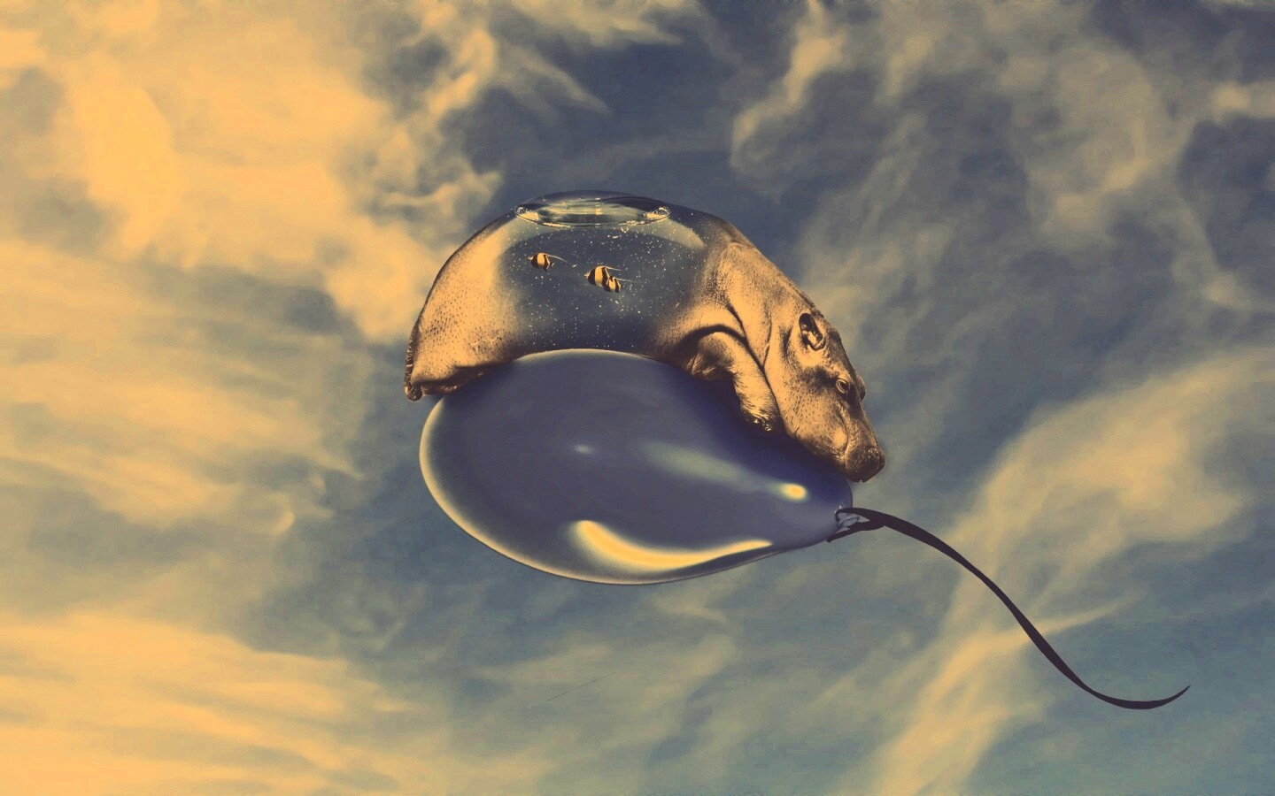 Водяной гиппопотам на шарике обои