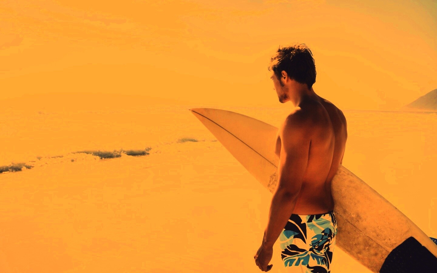 Собирается оседлать волну обои