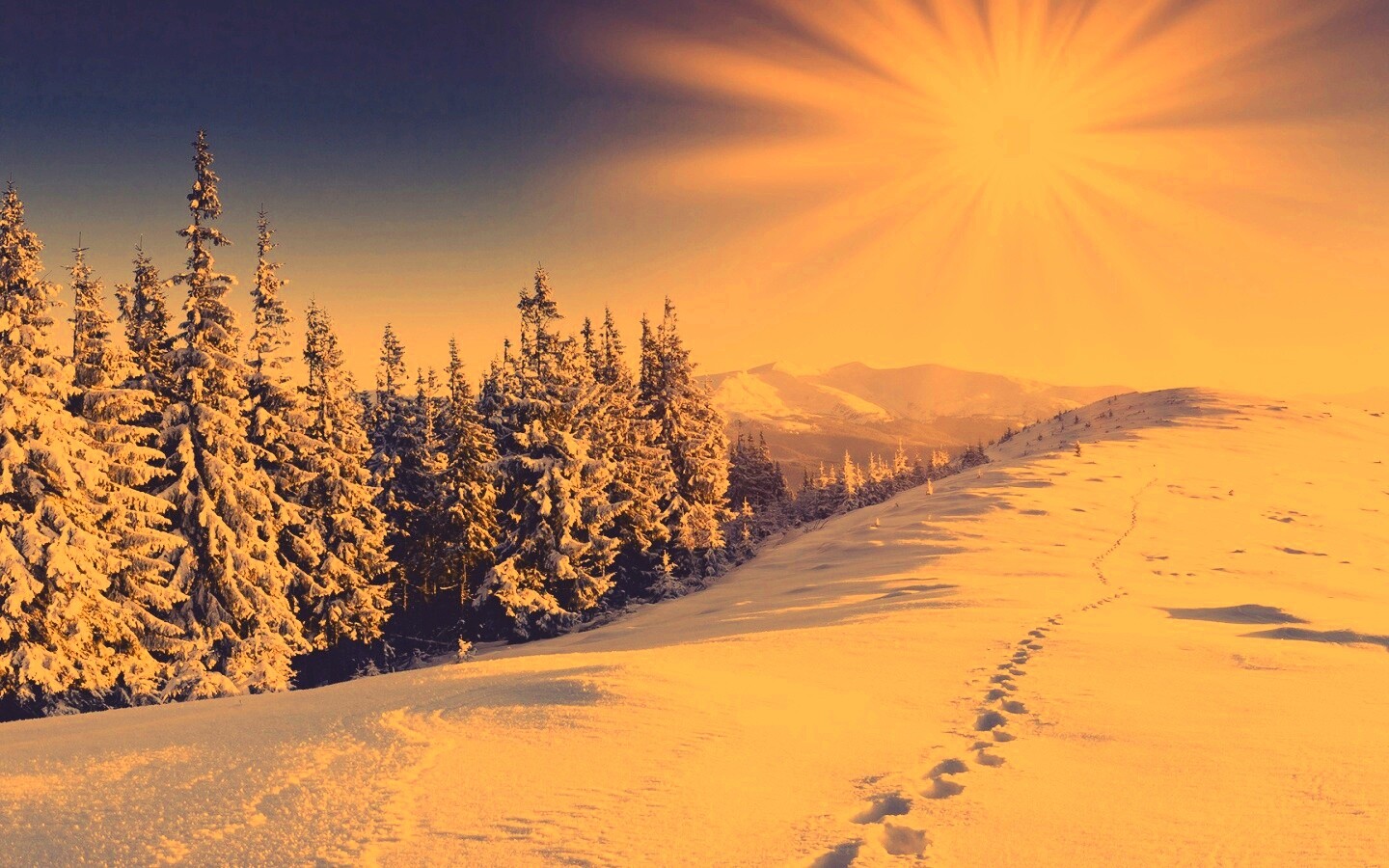 Холодные лучи зимнего солнца обои