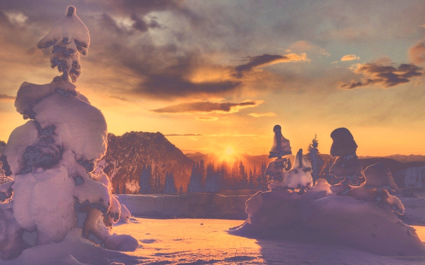 Зимнее солнце обои