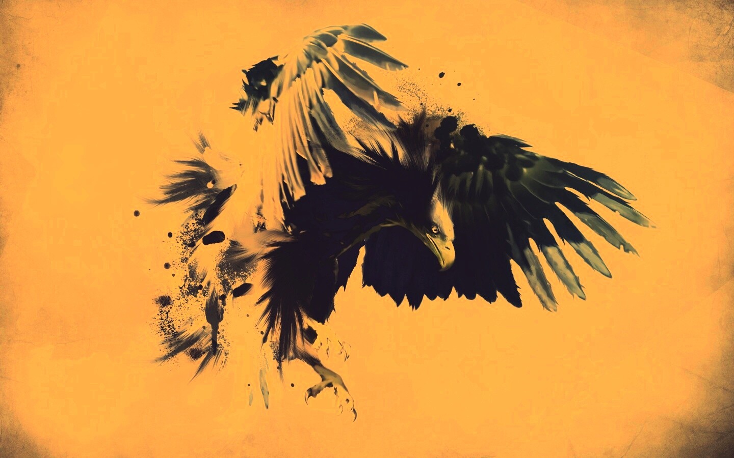 Скетч с орлом обои