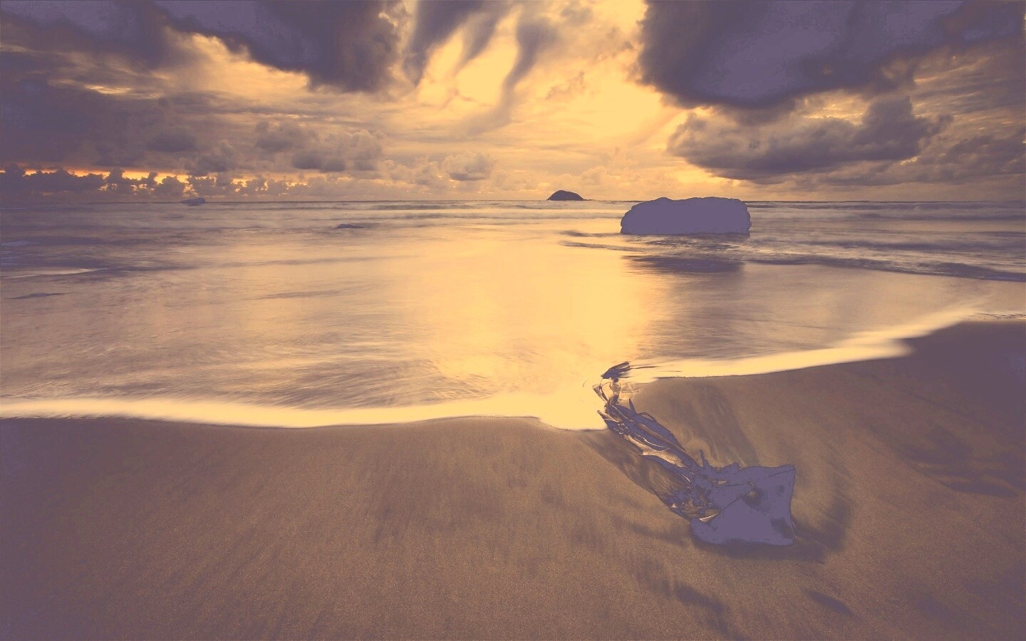 Коряга на пляже обои