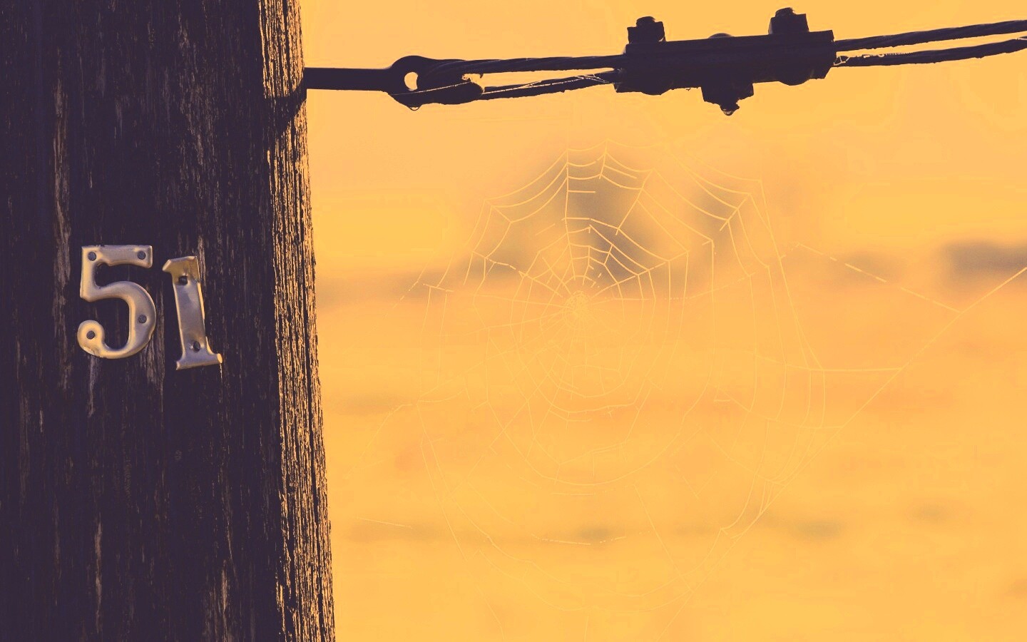 Паутина 51 обои