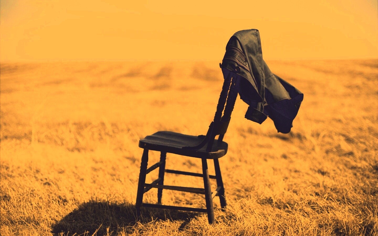 Стул в поле обои