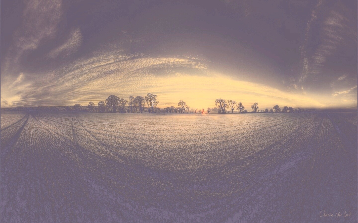 Поле широкоугольным объективом обои