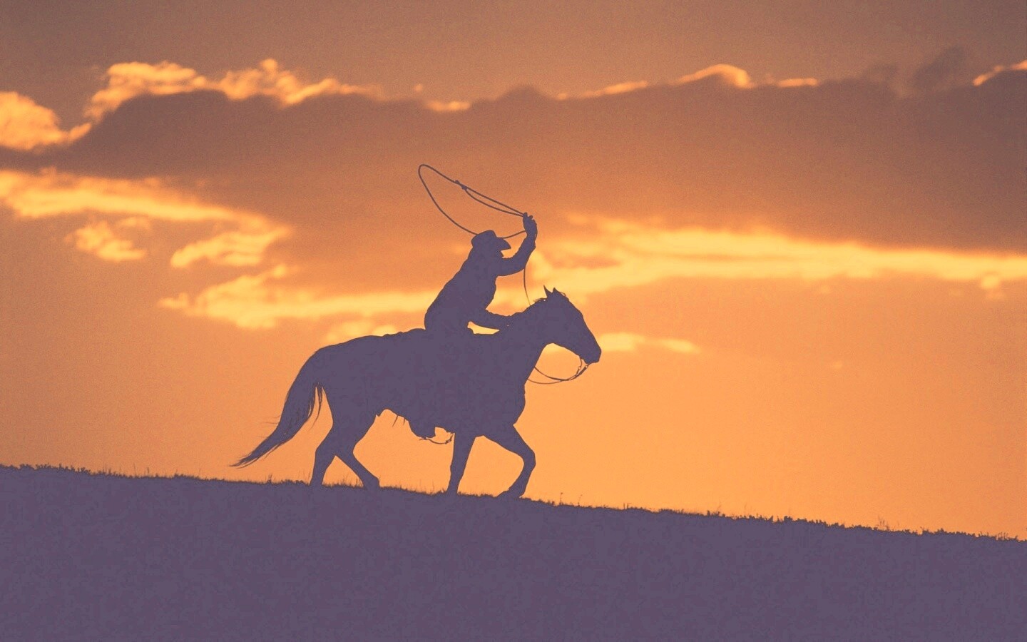 Силуэт ковбоя на закате обои