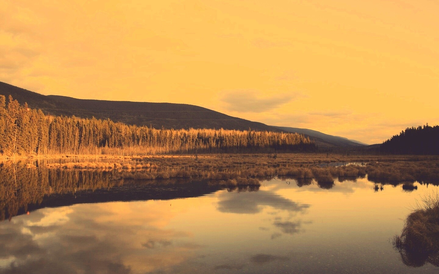 Осеннее озеро обои