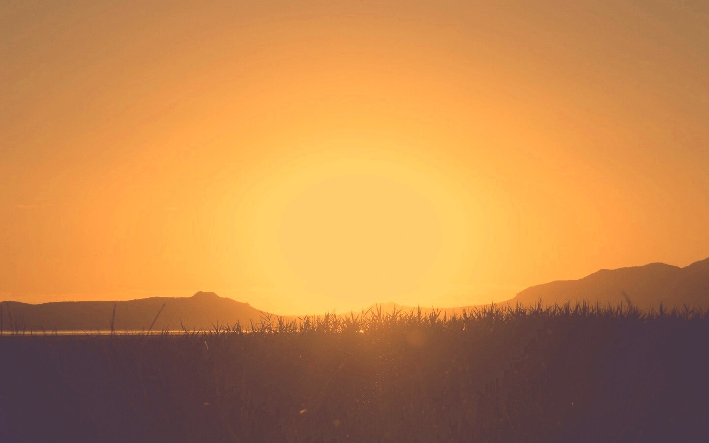 Сельский закат обои