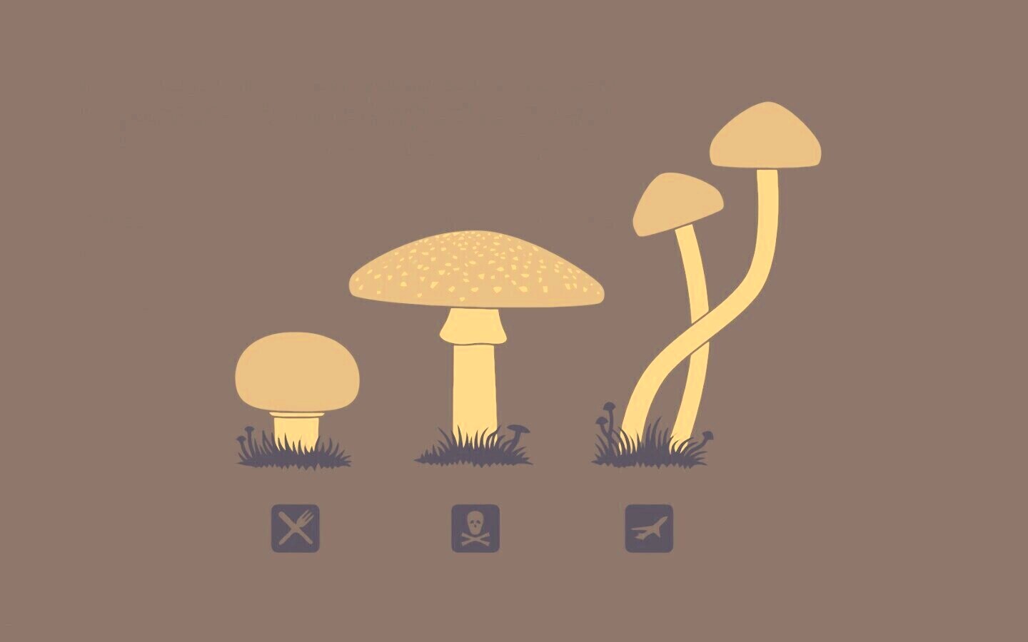 Грибочки обои