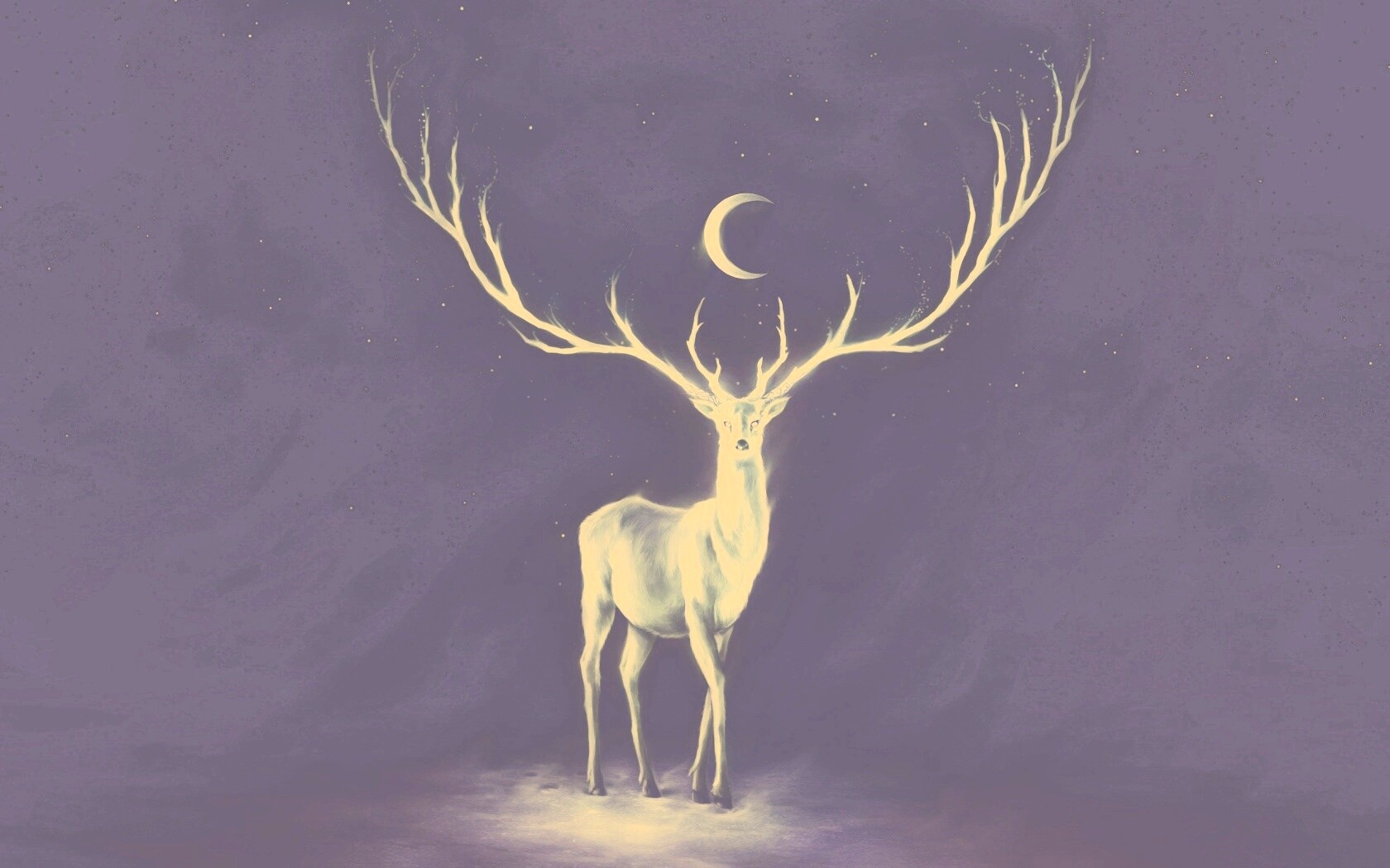 Олень в лунном свете обои