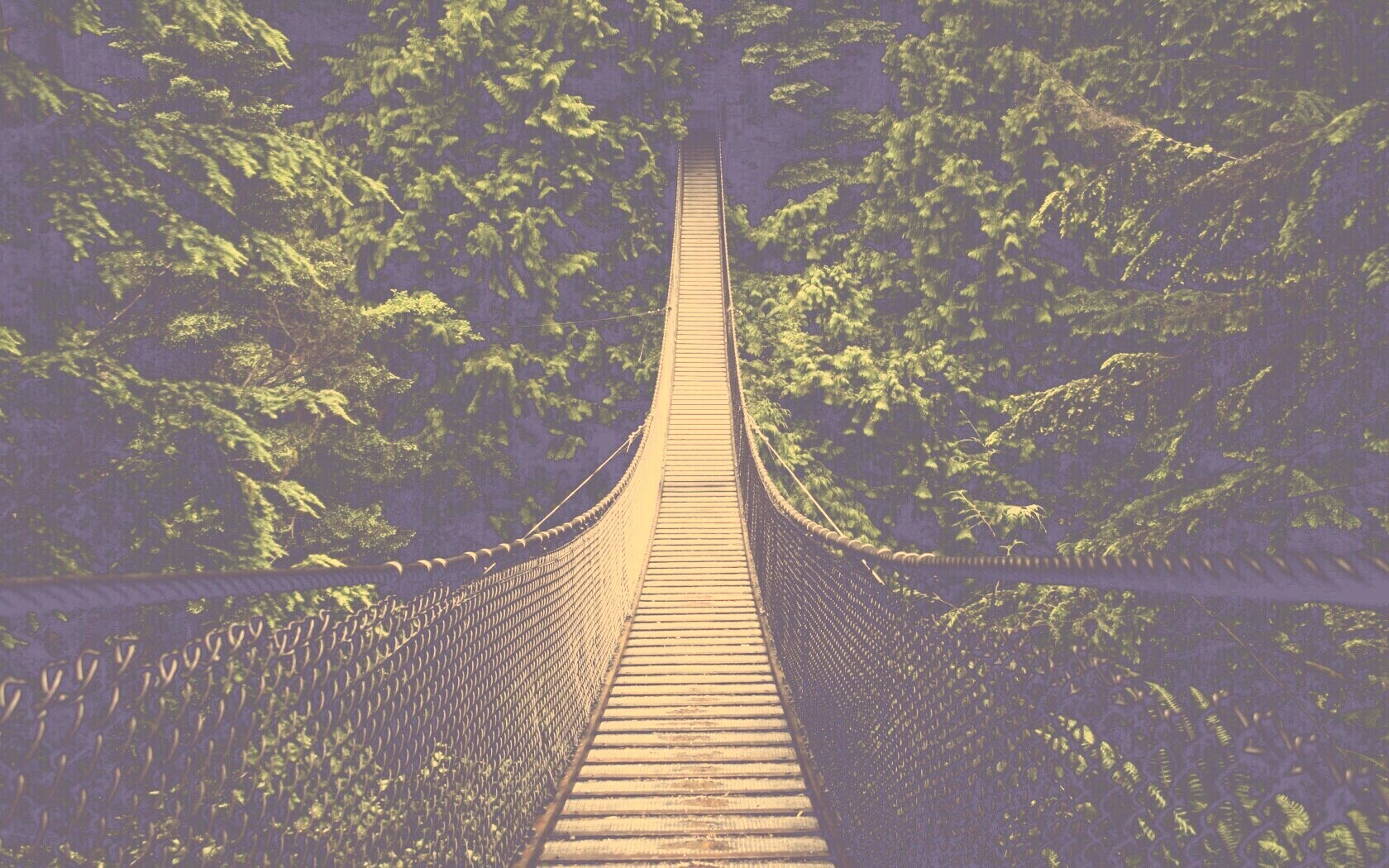 Канатный мостик обои