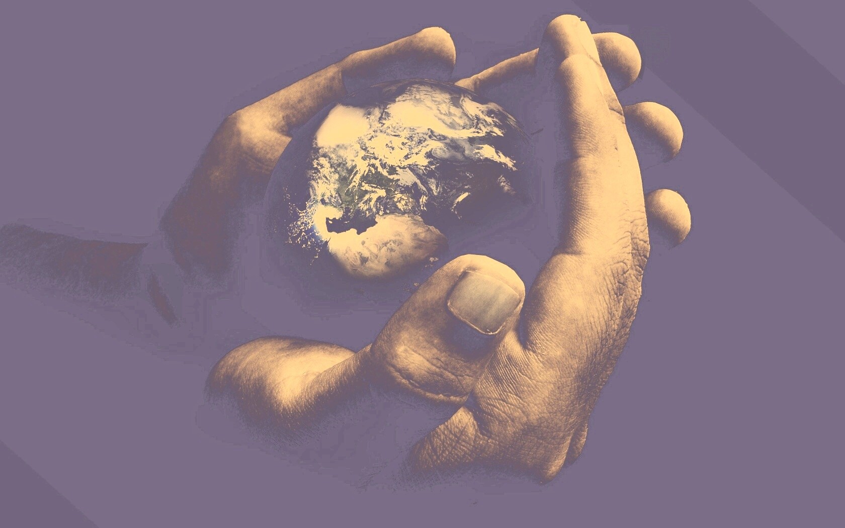 Мир в руках обои