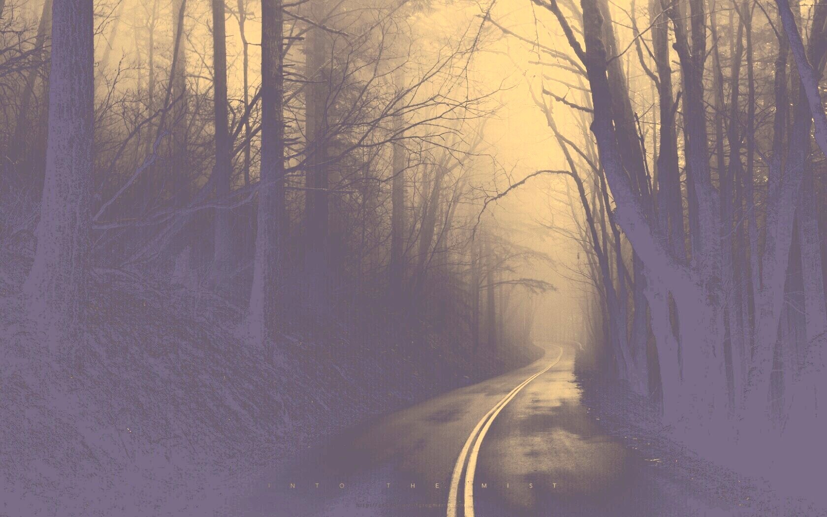 В туман обои