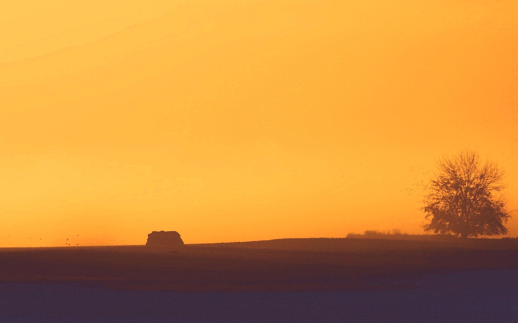 Убранное поле обои