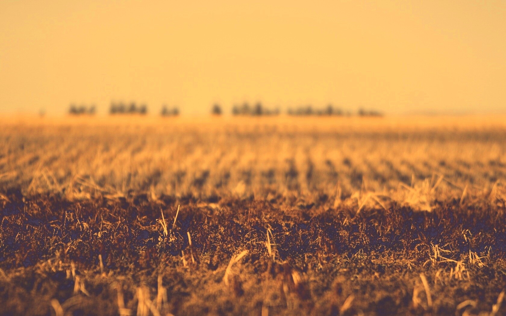 Поле перед вспашкой обои