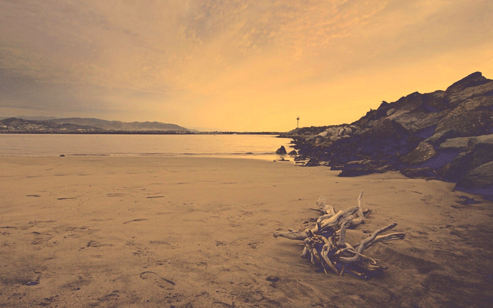 Коряга не берегу обои