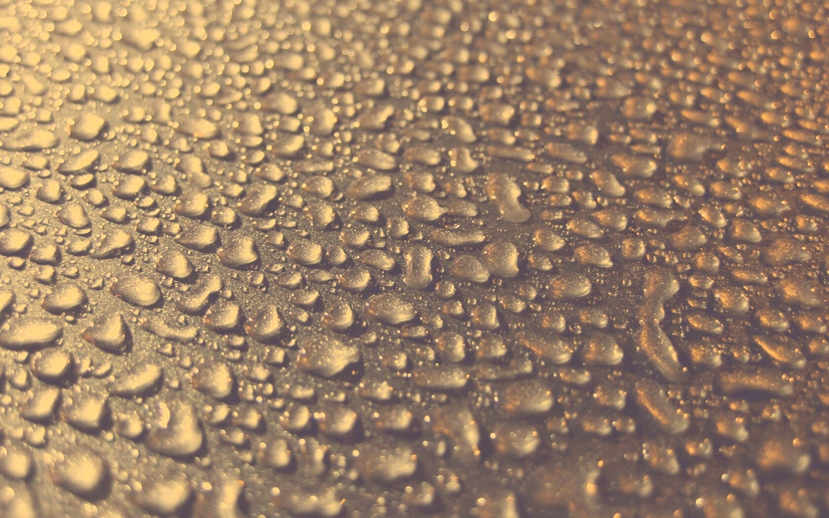 Вода собирается в капли обои