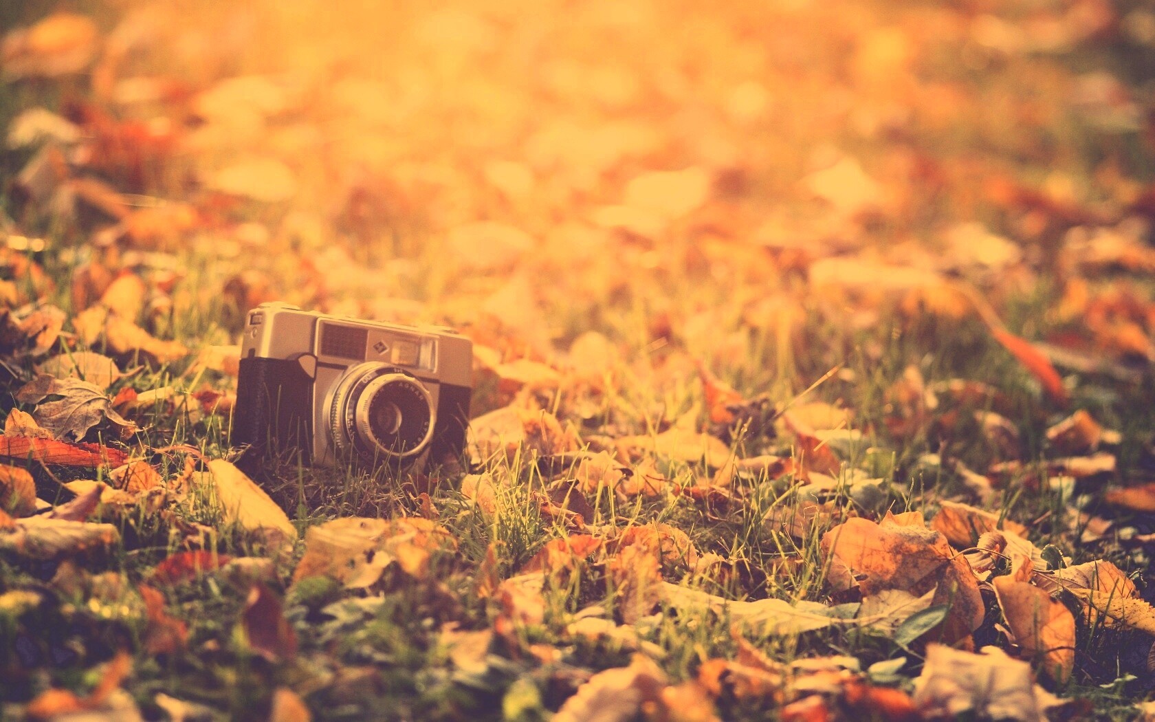 Старый фотоаппарат в траве обои