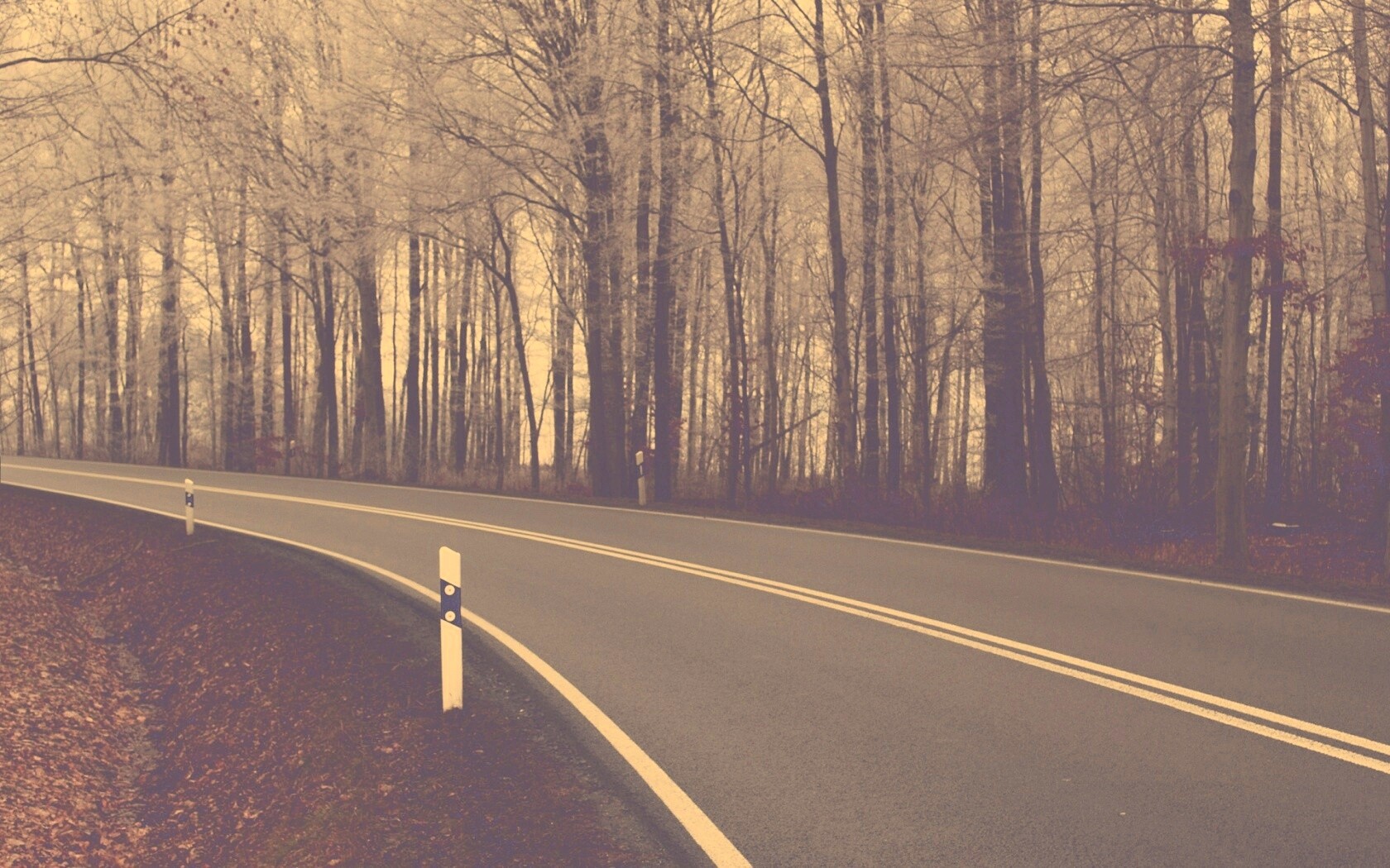 Дорога в осеннем лесу обои