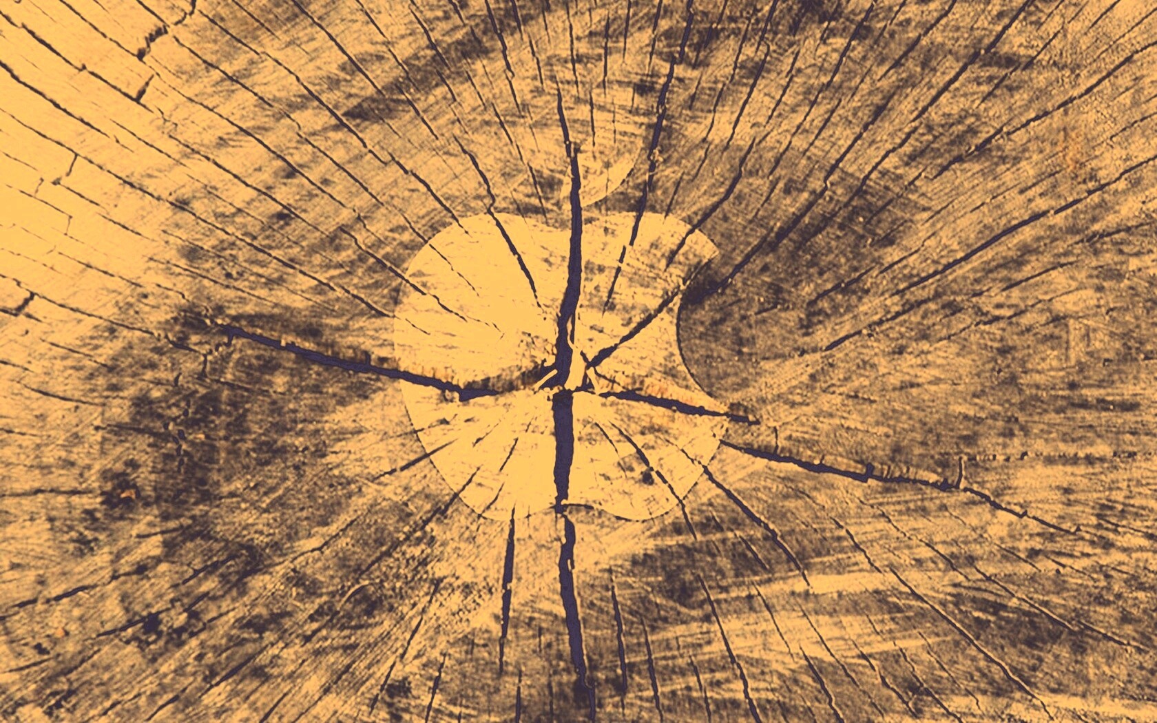 Логотип Apple на бревне обои