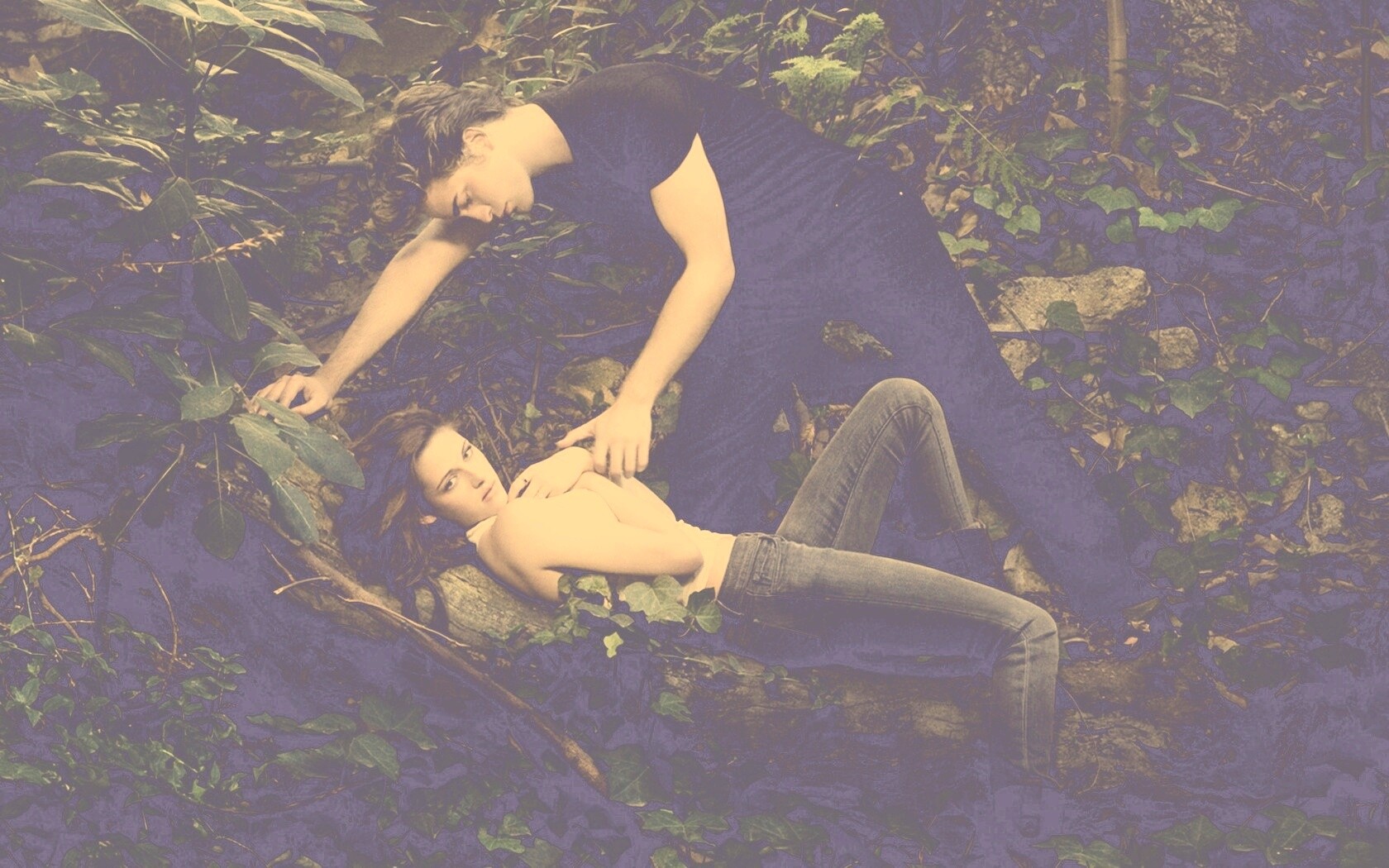 Эдвард и Белла в лесу обои