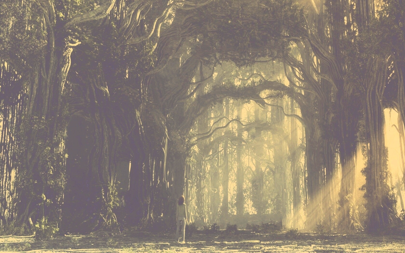 Одна в сумеречном лесу обои