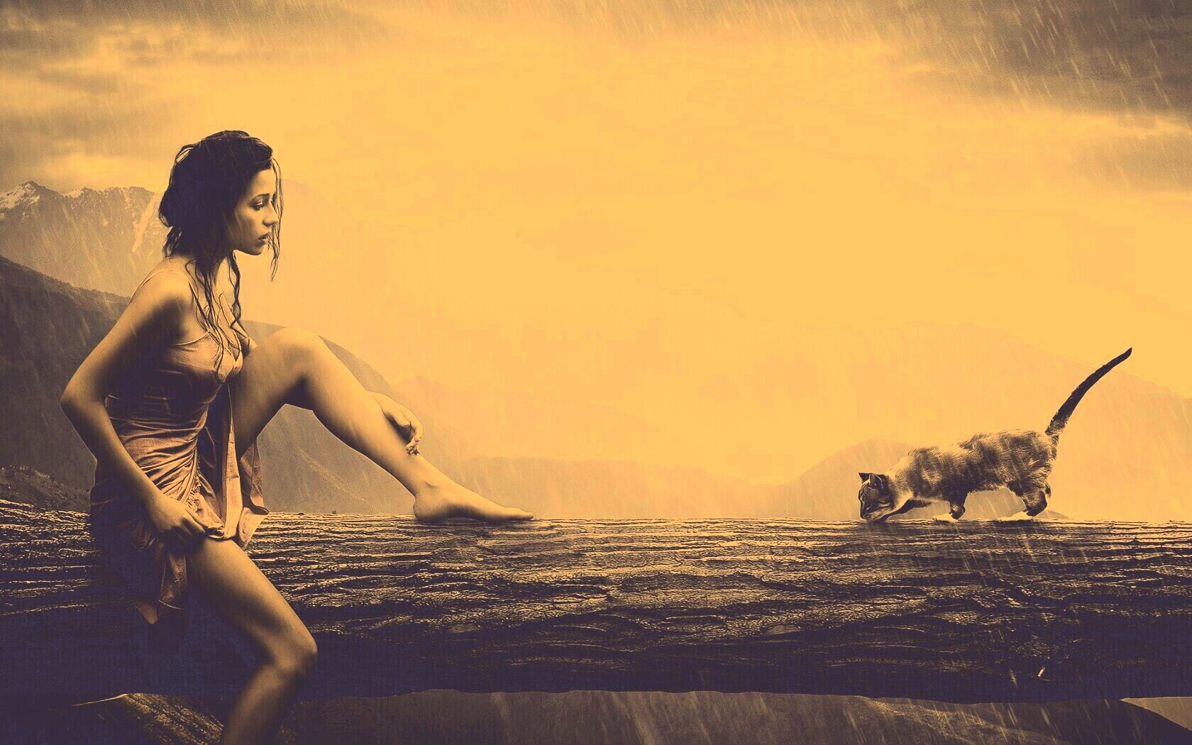 Девушка и кошка обои