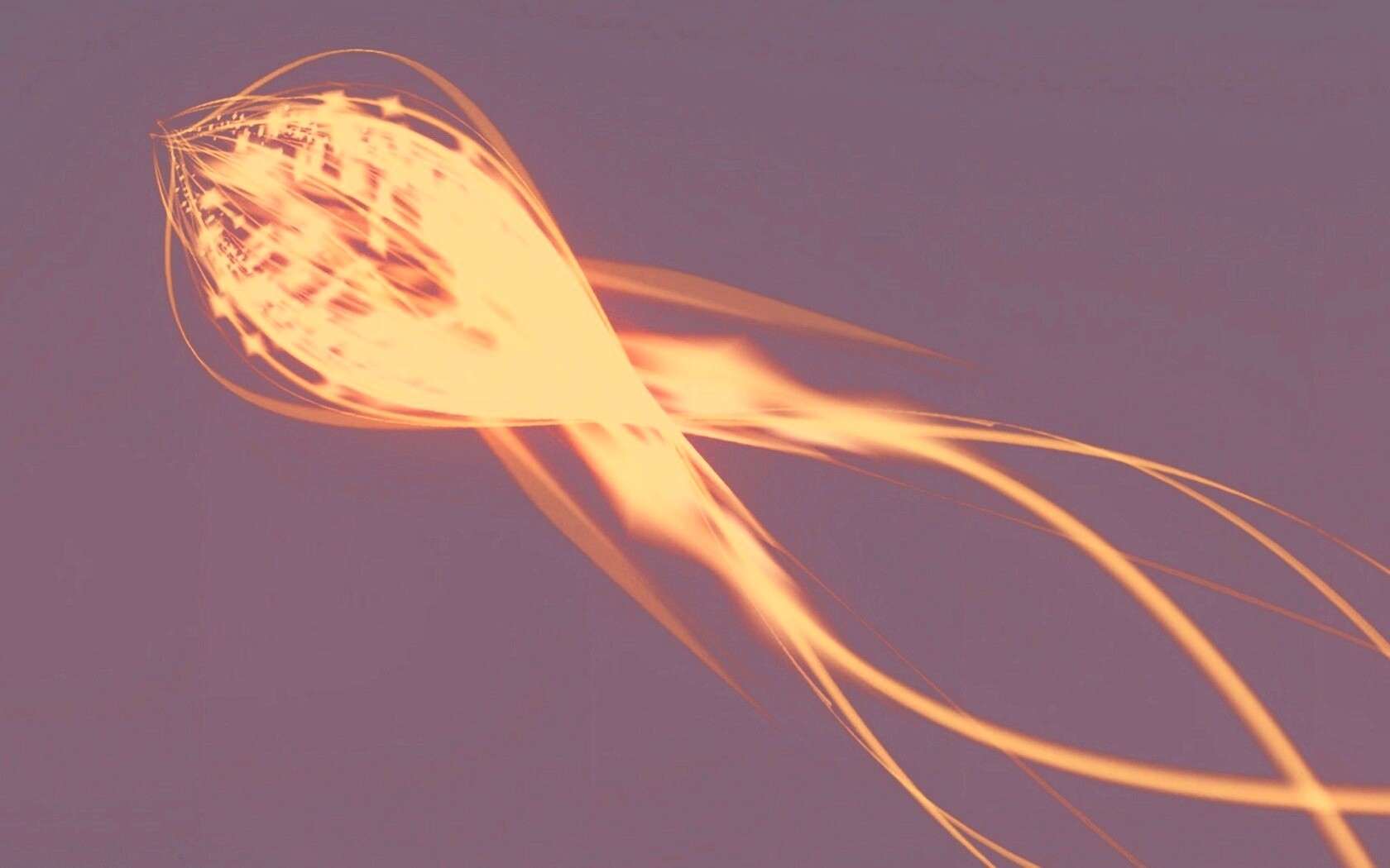 Сгусток красных линий обои