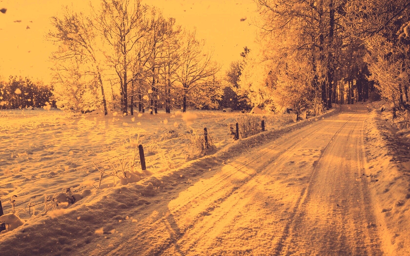 Снежная дорога залитая солнцем обои