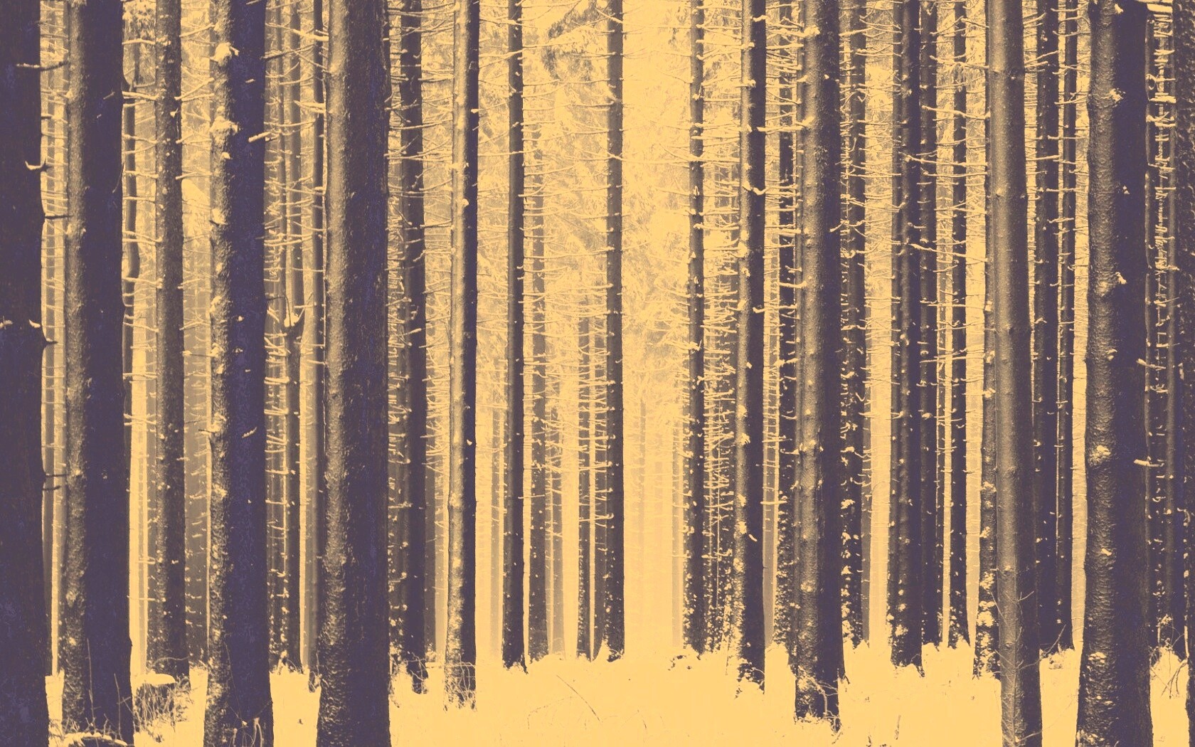 Зимний лес как штрихкод обои