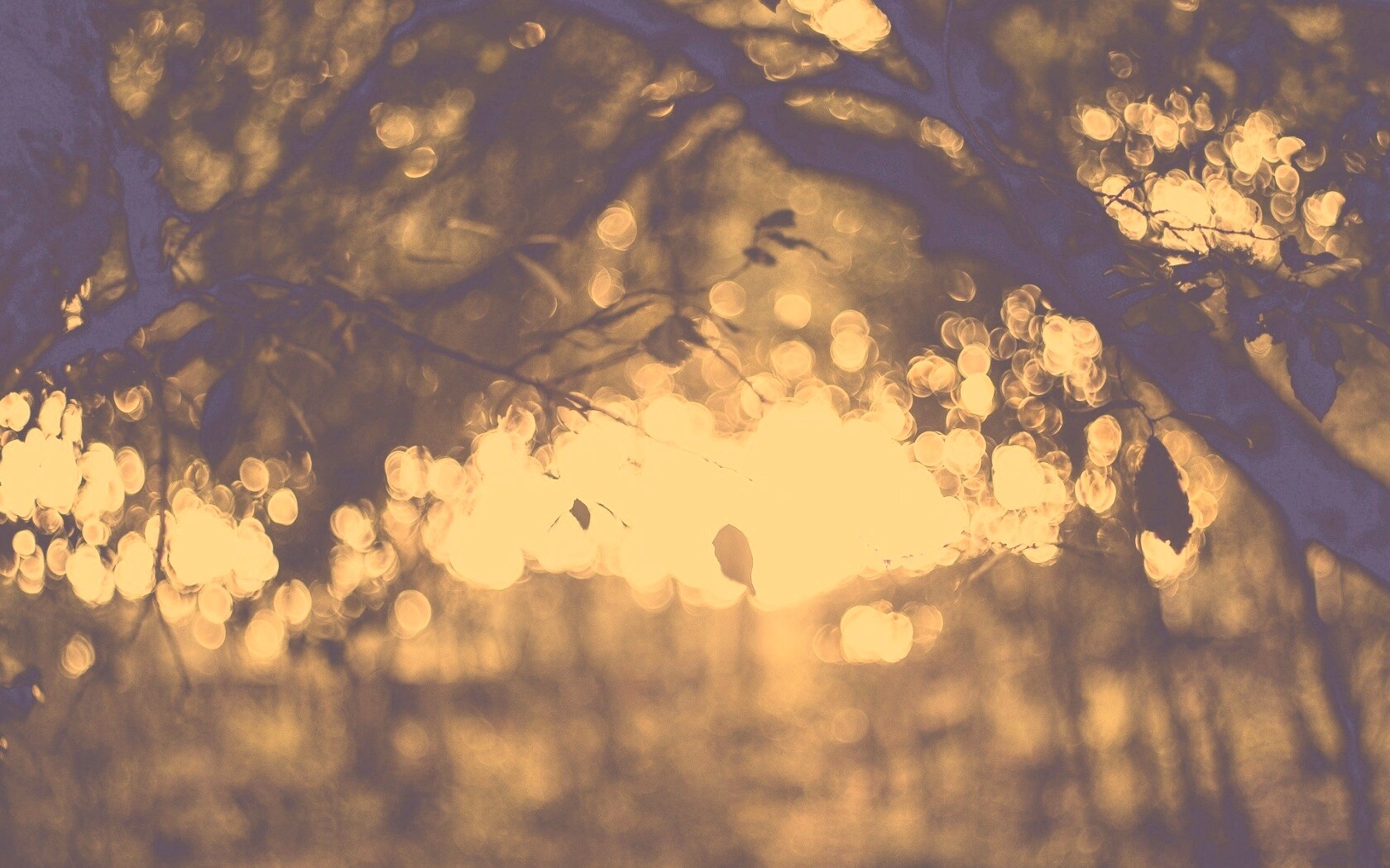 Размытый свет в парке обои
