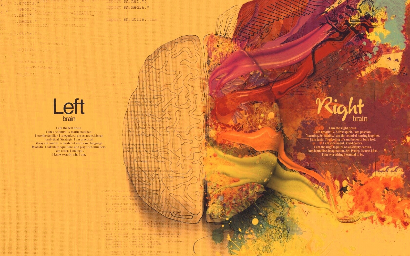 Различия левого и правого полушария обои