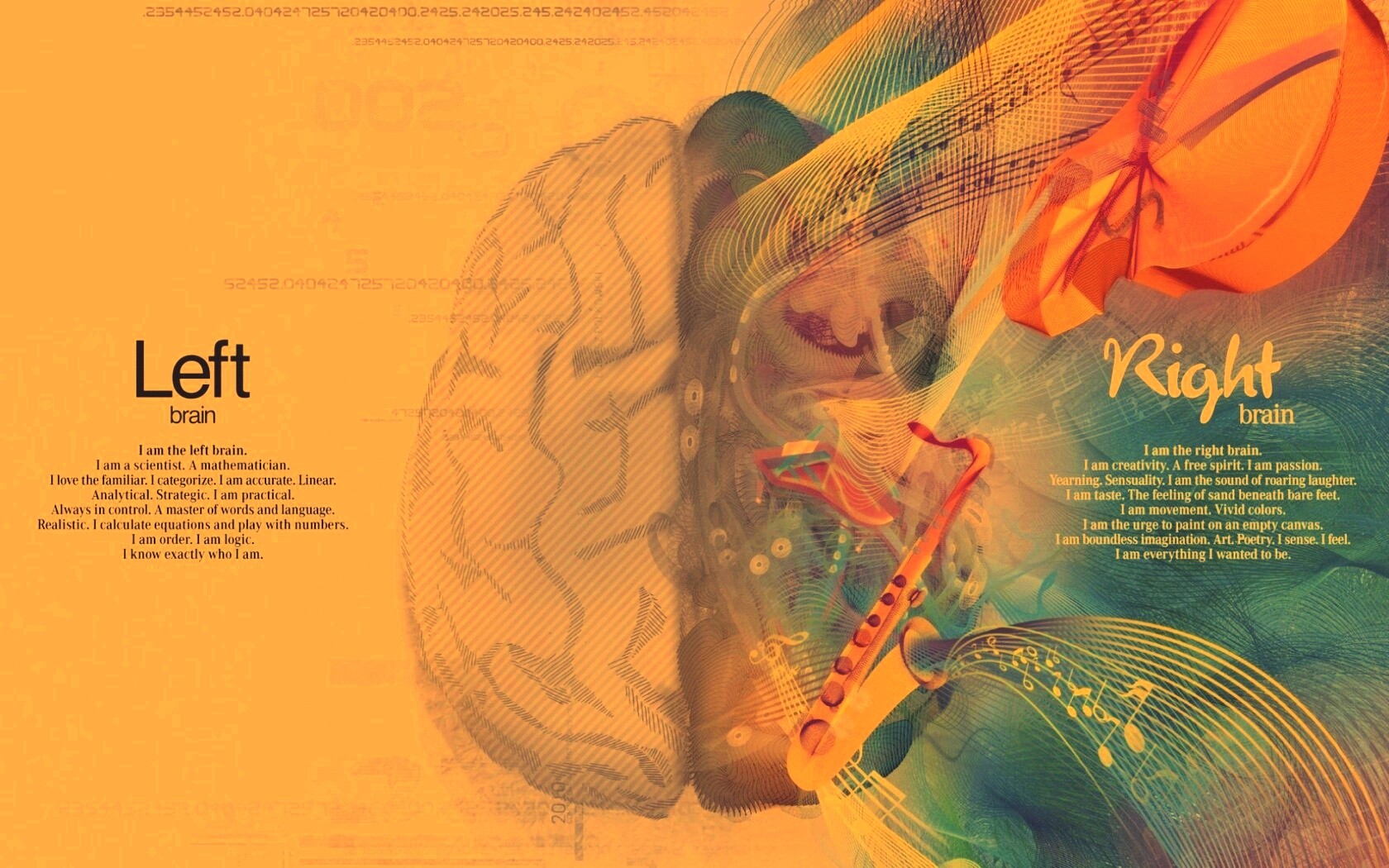 Левая и правая половина мозга обои