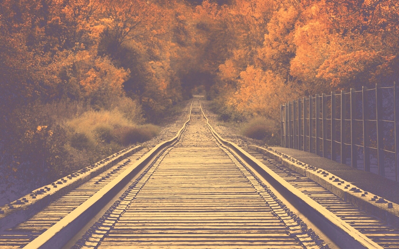 Железная дорога в осеннем лесу обои