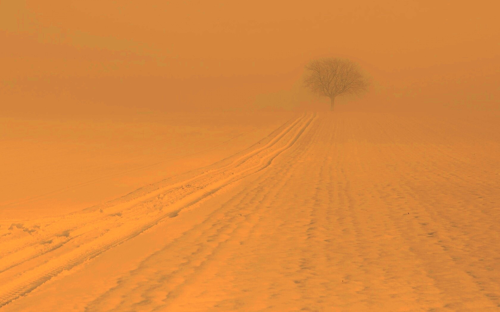 Заснеженное поле обои