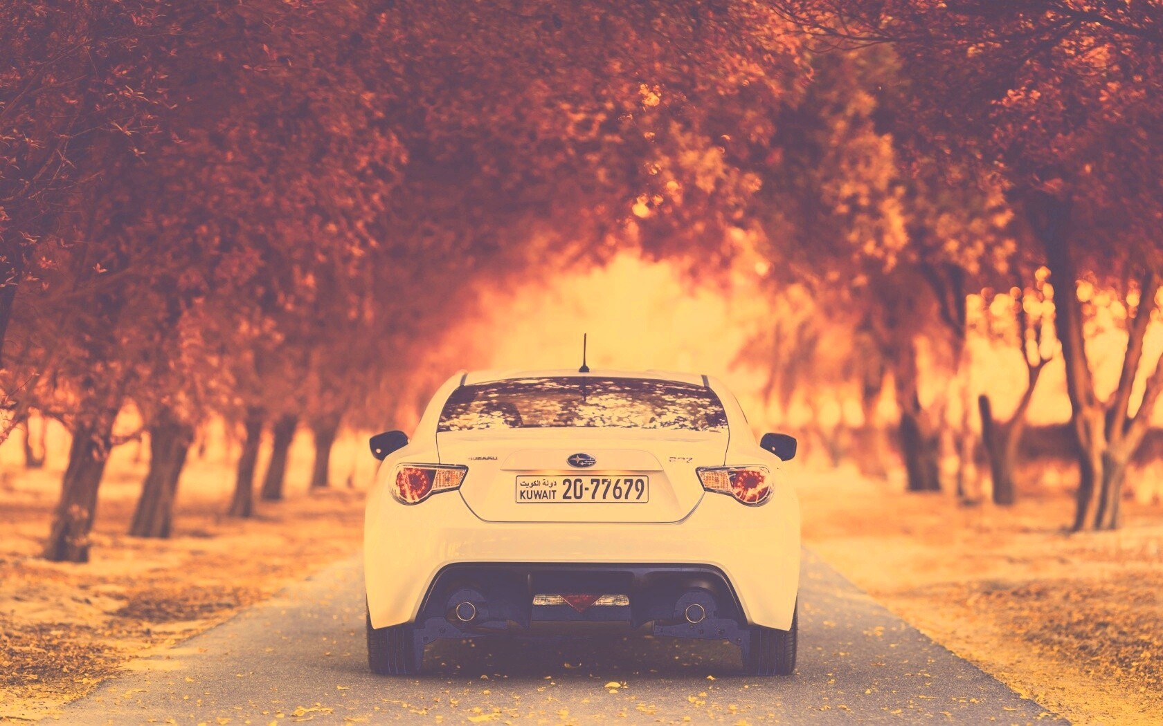 Субару на осенней дороге обои